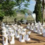 Finca Palmira 4