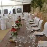 Finca Palmira 6