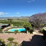 Finca Palmira 8