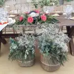 Finca mas de piedra