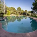 Finca mas de piedra 31