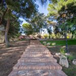 Finca mas de piedra 32