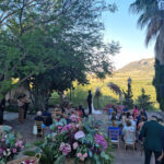 Finca mas de piedra 40