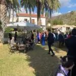 Finca palmira 12