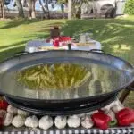 Finca palmira 6